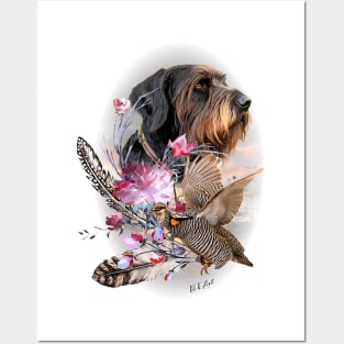 German Wirehaired Pointer hunting woodcock Posters and Art